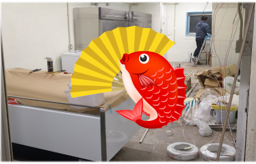 新店舗 魚平　オープン